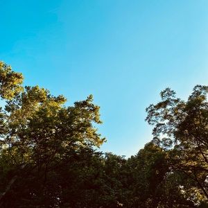 Meet your Posher, Tori